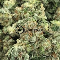 White Widow Popcorn - Online Dispensary Canada - Buyweedpacks