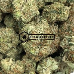 Brain’s Damage Buy Weed Online - Buyweedpacks