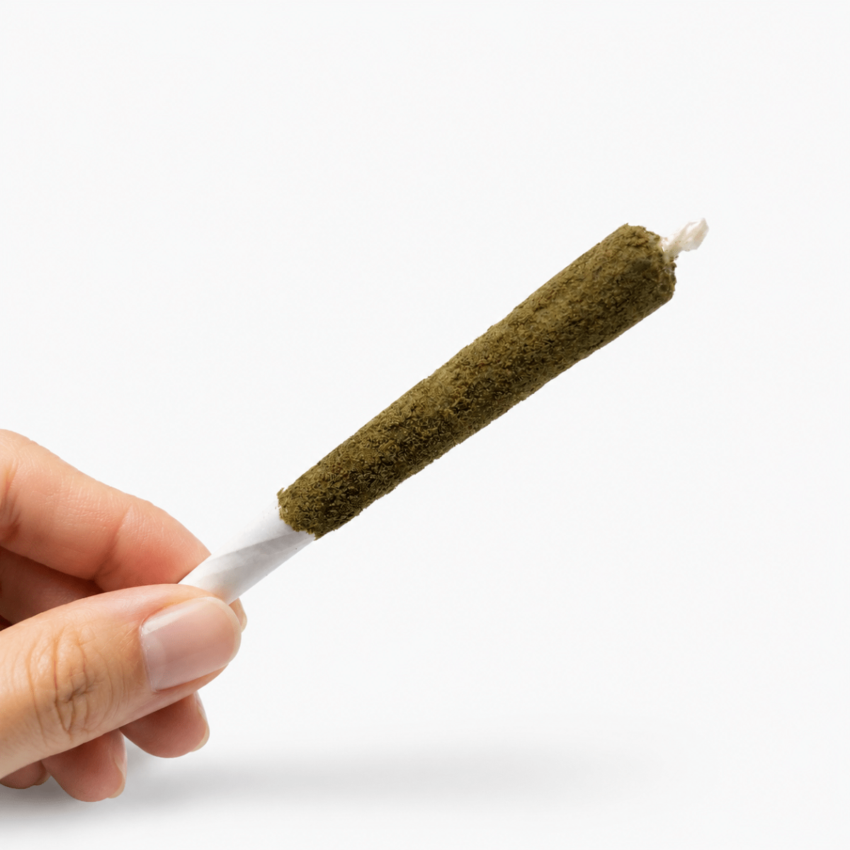 KIEF PRE-ROLLS | BUY TIGAA ONLINE | BUY WEED PACKS