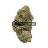 Citrus Skunk - Buy Weed Online - Buyweedpacks