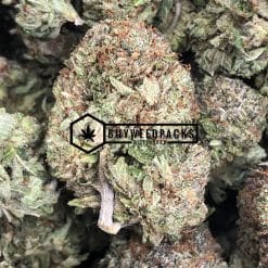 Gas Mas - Buy Weed Online - Buyweedpacks