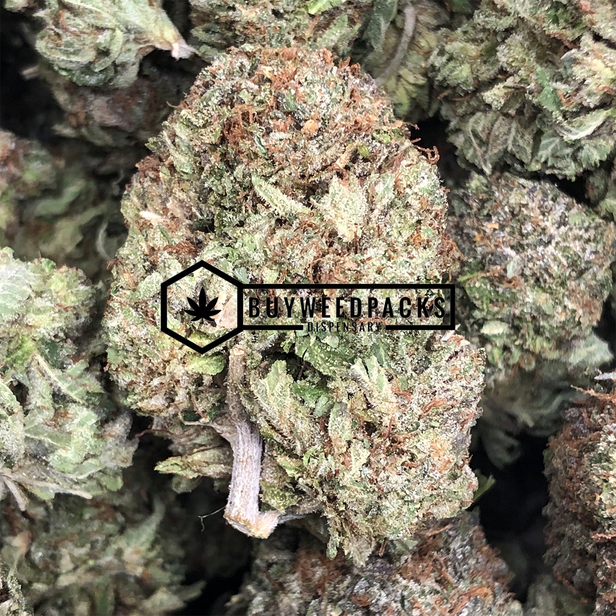 Gas Mas - Buy Weed Online - Buyweedpacks