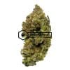 God Bud - Online Dispensary Canada - Buyweedpacks