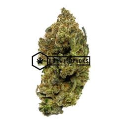 God Bud - Online Dispensary Canada - Buyweedpacks