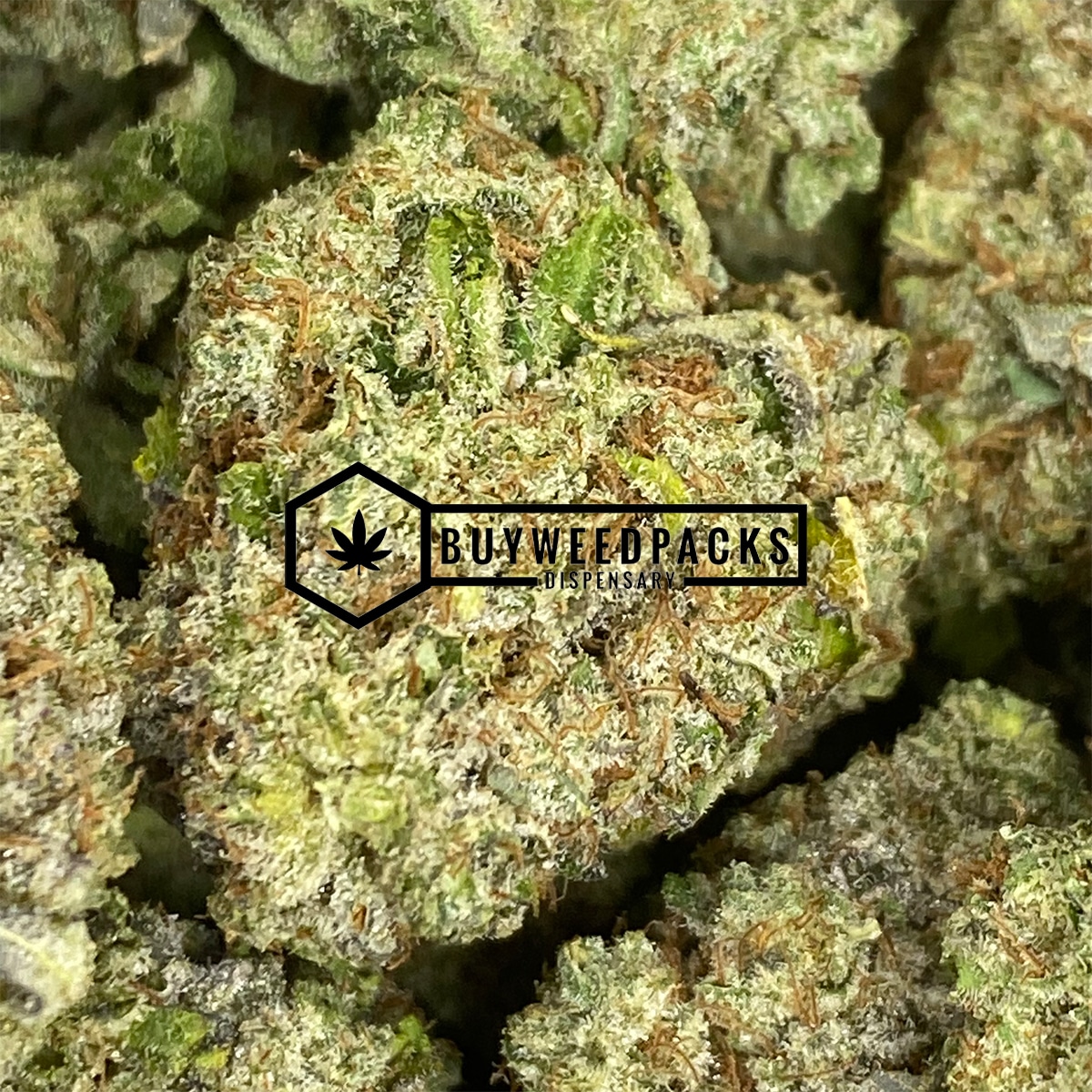 God Bud - Online Dispensary Canada - Buyweedpacks