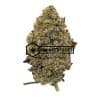 Grape Crashers - Buy Weed Online - Buyweedpacks