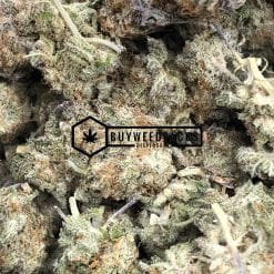 Grape Crashers - Buy Weed Online - Buyweedpacks
