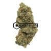 Lemon Alien Dawg - Buy Weed Online - Buyweedpacks