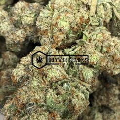 Lemon Alien Dawg - Buy Weed Online - Buyweedpacks