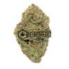 Northern Lights #5 - Buy Weed Online - Buyweedpacks