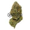 Oreoz - Online Dispensary Canada - Buyweedpacks