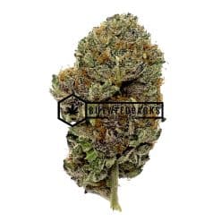 Peyote Cookies - Online Dispensary Canada - Buyweedpacks