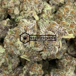 Peyote Cookies - Online Dispensary Canada - Buyweedpacks