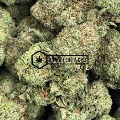UBC Chemo | Buy Online Weeds | Buyweedpacks