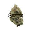 Astro Pink - Online Dispensary Canada - Buyweedpacks