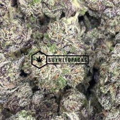 Blackwater - Buy Weed Online - Buyweedpacks