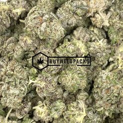Blackwater - Buy Weed Online - Buyweedpacks