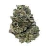 Blackwater - Buy Weed Online - Buyweedpacks