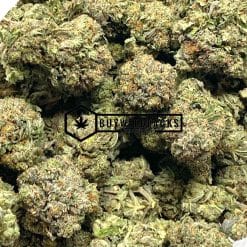 Blue Fin Tuna Kush | Buy Weed Online | Buyweedpacks
