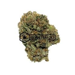 Blue Fin Tuna Kush | Buy Weed Online | Buyweedpacks