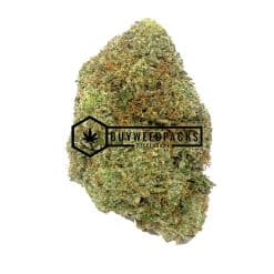 Cinderella 99 - Buy Weed Online - Buyweedpacks