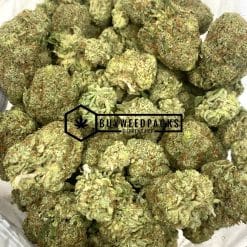 Cinderella 99 - Buy Weed Online - Buyweedpacks