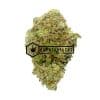 Divorce Cake - Online Dispensary Canada - Buyweedpacks