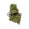 EL Chapo - Buy Weed Online - Buyweedpacks