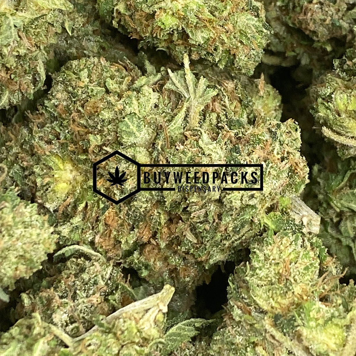 Gas Leak - Buy Weed Online - Buyweedpacks
