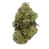 Gas Leak - Buy Weed Online - Buyweedpacks