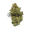 Juicy Wreck - Online Dispensary Canada - Buyweedpacks