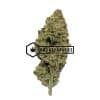 MAC 10 - Buy Weed Online - Buyweedpacks