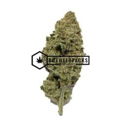 MAC 10 - Buy Weed Online - Buyweedpacks