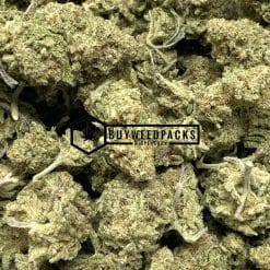 MAC 10 - Buy Weed Online - Buyweedpacks