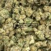 Orange Crush Popcorn - Buy Weed Online - Buyweedpacks