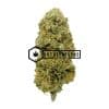 Pineapple Thai - Buy Weed Online - Buyweedpacks