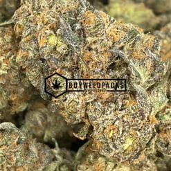 Pink Champagne- Buy Weed Online - Buyweedpacks
