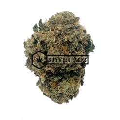 Pink Champagne- Buy Weed Online - Buyweedpacks