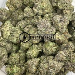 Pink Picasso | Buy Online Weeds | Buyweedpacks