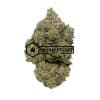 Pink Picasso | Buy Online Weeds | Buyweedpacks