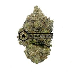 Pink Picasso | Buy Online Weeds | Buyweedpacks