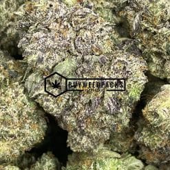 Pink Picasso | Buy Online Weeds | Buyweedpacks