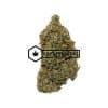 Pinkman Goo | Buy Online Weeds | Buyweedpacks