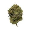 Purple Pink Kush - Online Dispensary Canada - Buyweedpacks