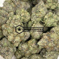 Purple Tuna Kush - Online Dispensary Canada - Buyweedpacks