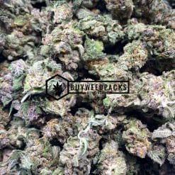 Purple Urkle - Online Dispensary Canada - Buyweedpacks