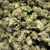 Purple Urkle - Online Dispensary Canada - Buyweedpacks