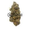 Sticky Icky Gorilla Glue #4 - Buy Weed Online - Buyweedpacks