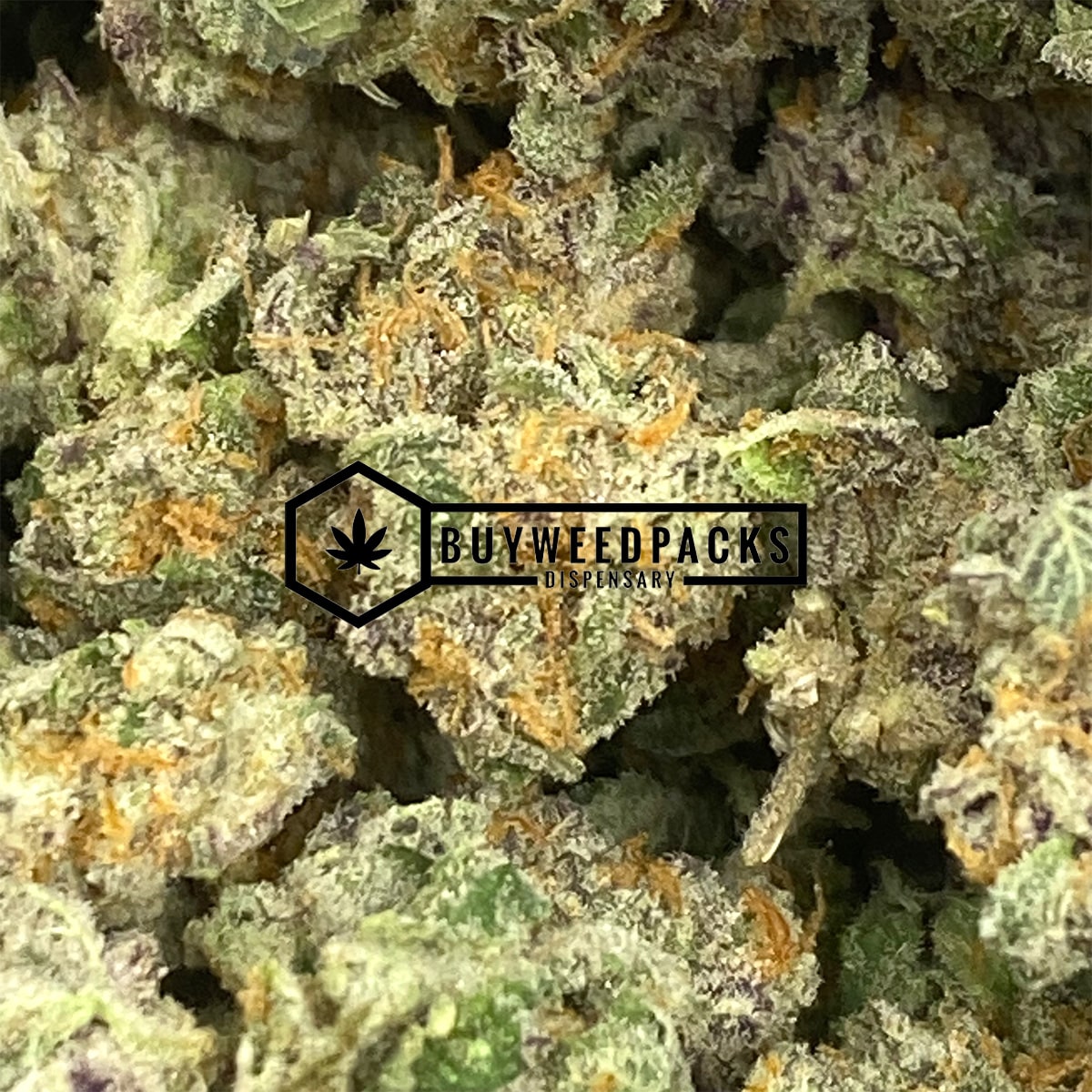 Sticky Icky Gorilla Glue #4 - Buy Weed Online - Buyweedpacks