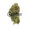 Tom Ford Pink Kush - Buy Weed Online - Buyweedpacks